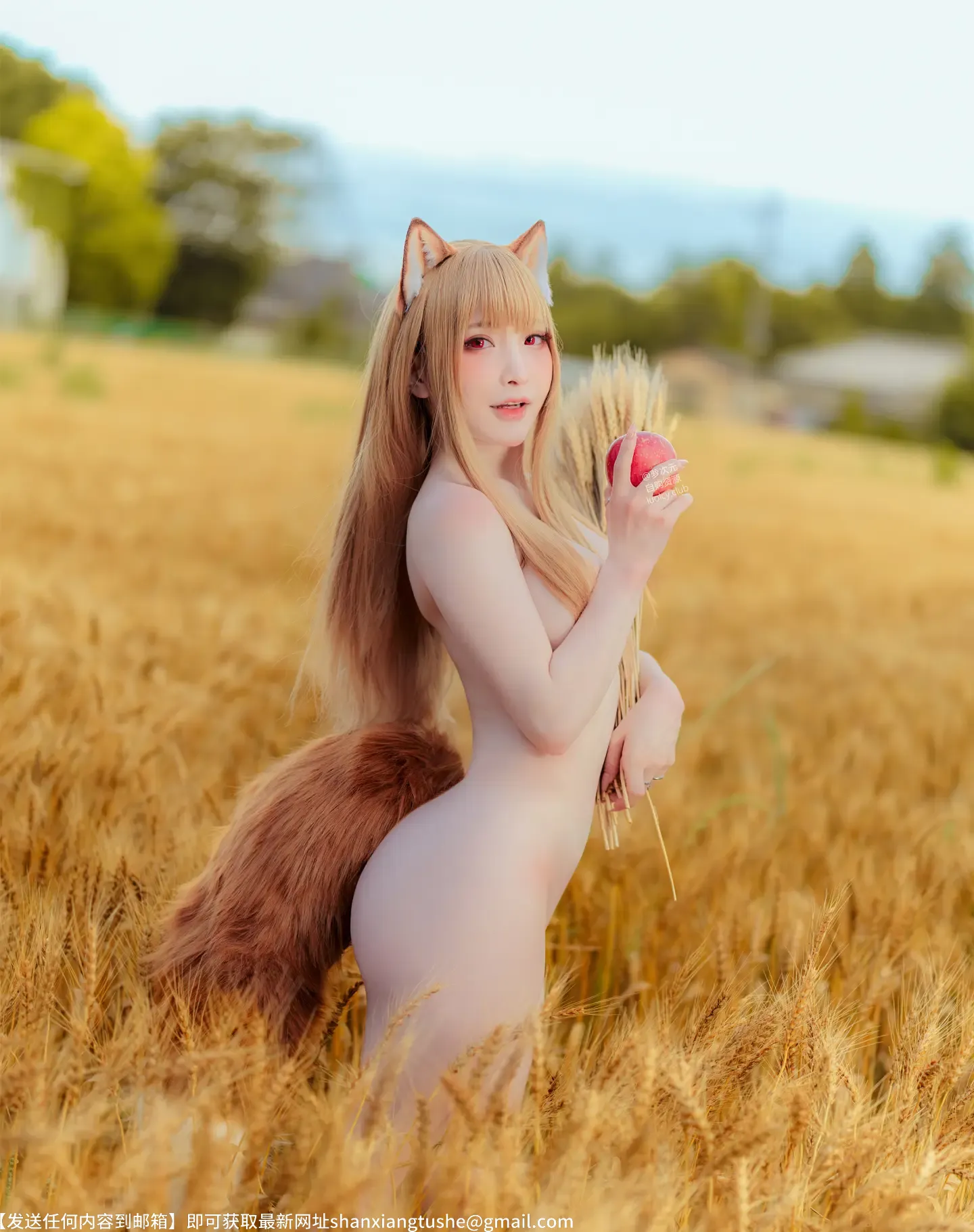 图片[4]-小丁 Holo Spice And Wolf-萝莉的士