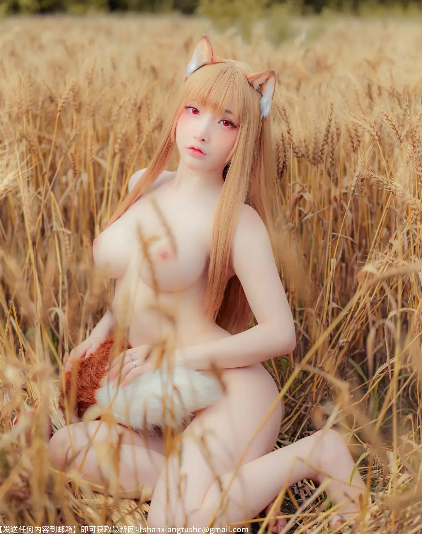 图片[8]-小丁 Holo Spice And Wolf-萝莉的士